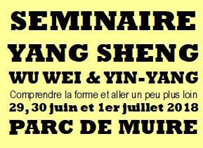 WU WEI et Yin-Yang - Séminaire annuel